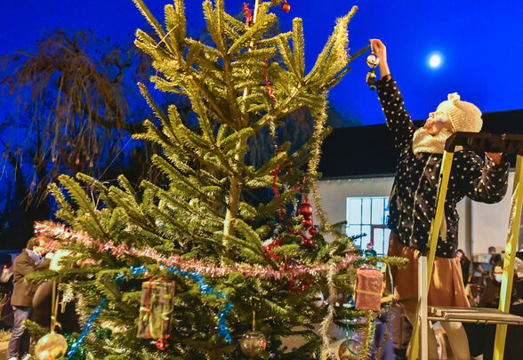 Une personne juchée sur une échelle pose le dernier ornement au sommet du grand sapin, entourée de riverains sous la lune - Agrandir l'image, fenêtre modale