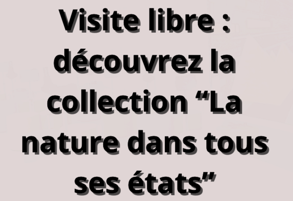  - Agrandir l'image, fenêtre modale