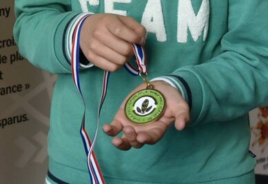 Médaille créée par l'école Jean-Macé La médaille créée par l'école Jean-Macé représente trois feuilles sur fond blanc et vert entourées de la mention Ordre Ecolo-Macé