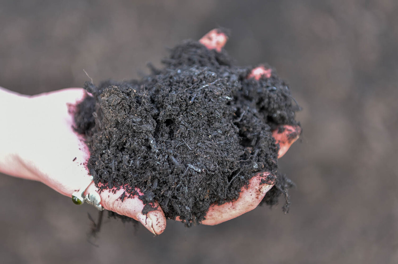 Compost criblé ©Bruno Derbord