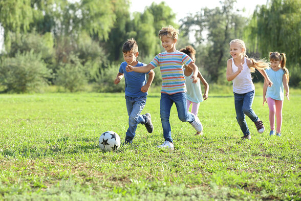 Football - Agrandir l'image, fenêtre modale